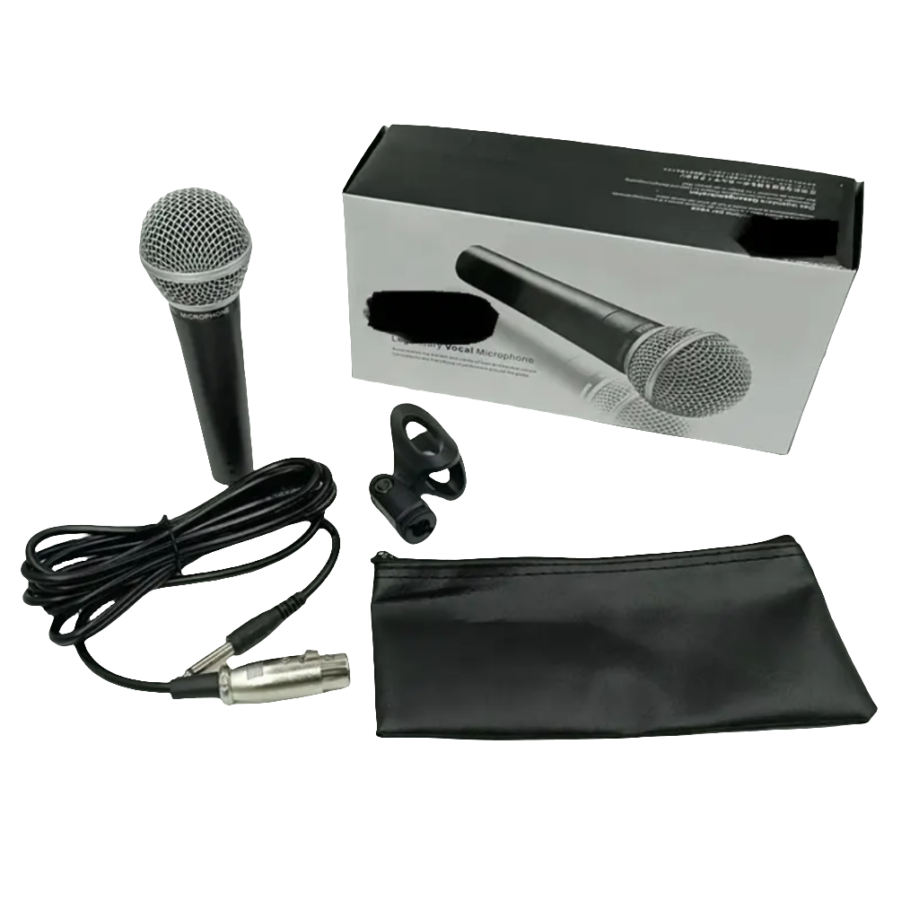Microphone de chant professionel